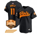 Men's Tennessee Volunteers #11 Billy Amick Black 2024 Champions Vapor Limited Stitched Jersey