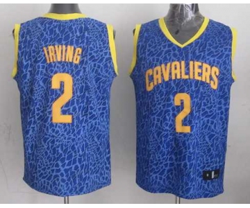 nba cleveland cavaliers #2 irving blue leopard print[2014 new]