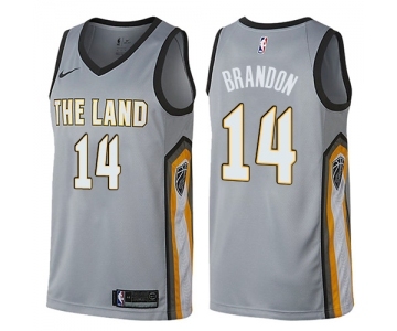 Youth Nike Cleveland Cavaliers #14 Terrell Brandon Swingman Gray NBA Jersey - City Edition