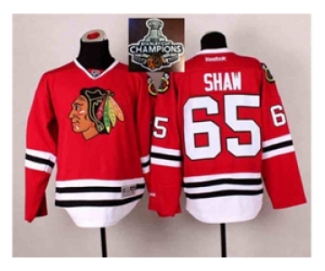 NHL Chicago Blackhawks #65 Andrew Shaw Red 2014 Stadium Series 2015 Stanley Cup Champions jerseys