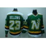 nhl dallas stars #23  bellows green ccm