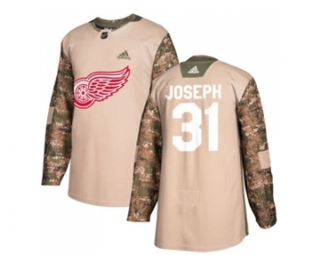 Men Adidas Detroit Red Wings #31 Curtis Joseph Camo Authentic 2017 Veterans Day Stitched NHL Jersey