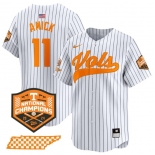 Men's Tennessee Volunteers #11 Billy Amick White Pinstripe 2024 Champions Vapor Limited Stitched Jersey