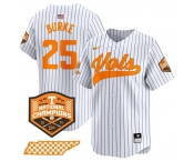Men's Tennessee Volunteers #25 Blake Burke White Pinstripe 2024 Champions Vapor Limited Stitched Jersey