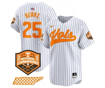 Men's Tennessee Volunteers #25 Blake Burke White Pinstripe 2024 Champions Vapor Limited Stitched Jersey