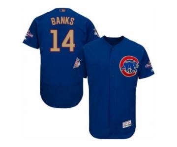 Men Cubs #14 Ernie Banks Blue Flexbase Authentic 2017 Gold Program Stitched MLB Jersey