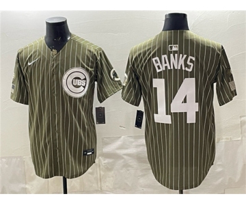 Men's Chicago Cubs #14 Ernie Banks Pinstripe Olive 2026 Armed Forces Day Salute To Service Stitched Baseball Jersey