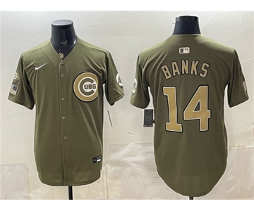 Men's Chicago Cubs #14 Ernie Banks Royal Olive 2026 Armed Forces Day Salute To Service Stitched Baseball Jersey
