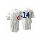 Men's Mitchell and Ness Chicago Cubs #14 Ernie Banks Authentic Cream 1969 Throwback MLB Jersey Men's Mitchell and Ness Chicago Cubs #14 Ernie Banks Authentic Cream 1969 Throwback MLB Jersey