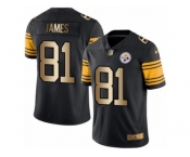 Men's Nike Steelers #81 Jesse James Black Stitched NFL Limited Gold Rush Jersey