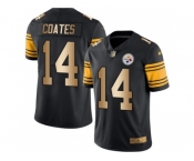 Nike Pittsburgh Steelers #14 Sammie Coates Black Men's Stitched NFL Limited Gold Rush Jersey