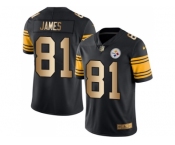 Nike Pittsburgh Steelers #81 Jesse James Black Men Stitched NFL Limited Gold Rush Jersey