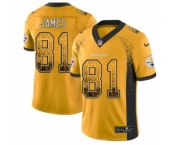 Youth Nike Pittsburgh Steelers #81 Jesse James Limited Gold Rush Drift Fashion NFL Jersey